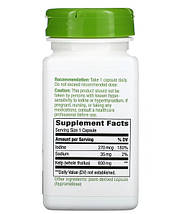 Nature's Way Kelp 600 mg 100 Veg Caps (ламінарія, йод), фото 4