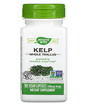 Nature's Way Kelp 600 mg 100 Veg Caps (ламінарія, йод), фото 3