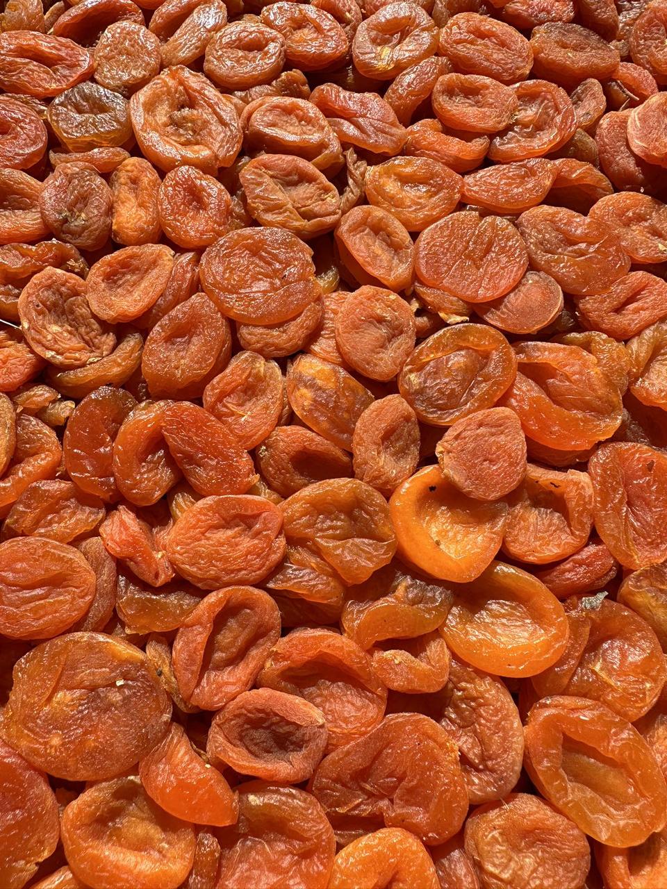 Курага Узбекист А.Б. 3/САХ-2, фото 1