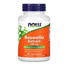 NOW Foods Boswellia Extract 250 mg 120 Veg Caps