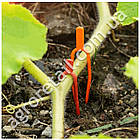 Фіксатор для стебла рослин 100 шт., фото 8