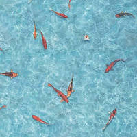 Побутовий лінолеум MOONLIGHT (Бельгія)