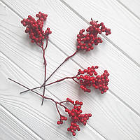 Гілочка маленька з червоними ягодами (каліна, падуб)