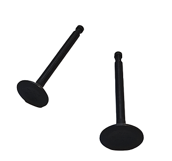 Клапана двигуна 177F