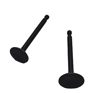 Клапана двигуна168f,170F