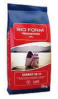 BIO FORM PREMIUM FOOD ENERGY 28-14