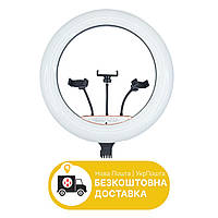 Кольцевая LED лампа RL-18 (45 см) + пульт + 3 крепления | Лампа-кольцо для фото