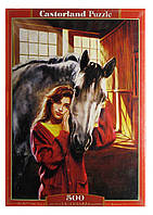 Пазли Castorland (Польща) 51236 500д Дружба