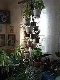 Кована підставка для квітів Фіалка 22, фото 5