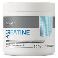 Креатин OstroVit Creatine HCL (300 грамм.)