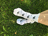 Консервований подарунок Memorableua Консервовані Адські шкарпетки (CSPICYS) SC, код: 2400383, фото 6