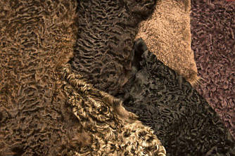 Шкурка каракуля коричнева