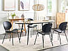 Набір 2 обідніх стільця ШОНТО чорний, фото 2