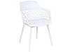 Набір 2 обідніх стільця Білий ALMIRA, фото 3