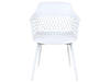 Набір 2 обідніх стільця Білий ALMIRA, фото 4