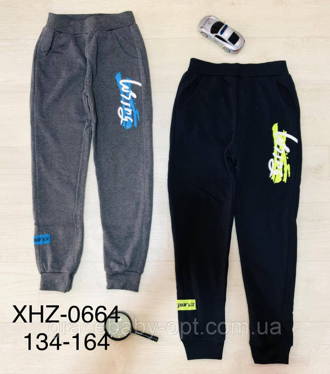 Спортивні утепленні штани для хлопчиків оптом, Active Sports, 134-164 см, № XHZ-0664