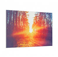 Инфракрасный обогреватель Klarstein Wonderwall Air Art Infinite (10035172) 580W до 11м²