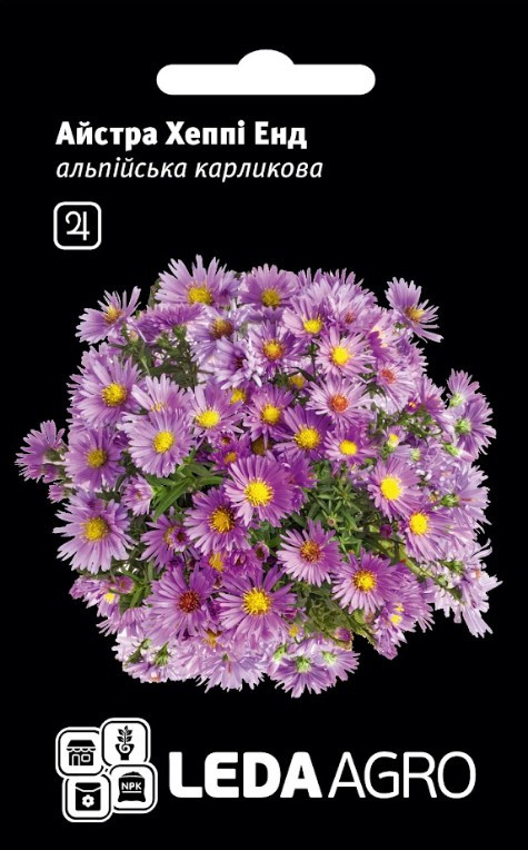 Айстра Хеппі Енд, альпійська карликова 10 шт (Leda Agro), фото 1