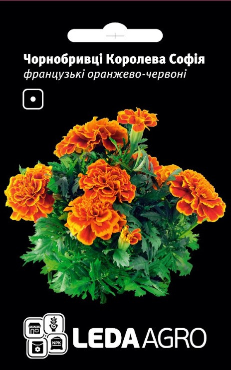 Чорнобривці Королева Софія, французькі 0,25 г (Leda Agro), фото 1
