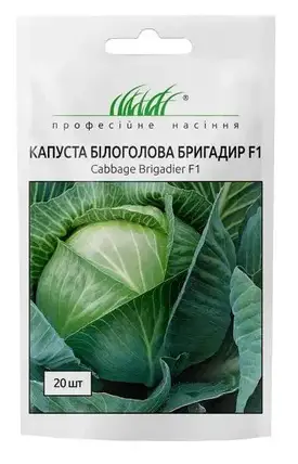 Насіння капусти Бригадир F1, 20 насінин — середньо-пізня (110-120 днів), білоголова, фото 2