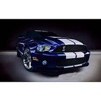Емблема "Ford Shelby Cobra", фото 6
