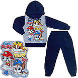 Толстовка і штани Пес Патрон начос 3-х нитка 04.17.00, фото 9