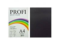 Папір кольоровий PROFI А4. 80г (500л) Intense Black N 401 (чорн.)