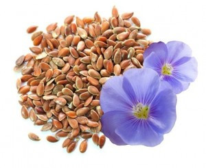 Льон коричневий, 500 г, фото 1