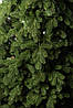 Ялинка лита "Ковалівська" Зелена 2,10м, фото 2