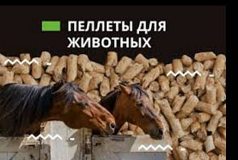 Наповнювач деревний ТМ "ЕКСПРЕС ЧИСТЮЛЯ" для тварин.