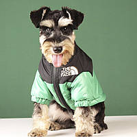 Зимняя куртка для собак S Зеленый