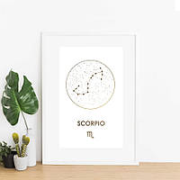 Постер "Зодиак: Скорпион" фольгированный А3, gold-white, gold-white, англійська aiw2636
