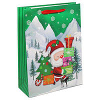 Пакет подарочный "Санта с подарками" (30х40 см) [tsi226444-TSІ]