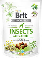 1460 Brit Care Dog Crunchy Cracker Insects Кролик с фенхелем, 200 гр