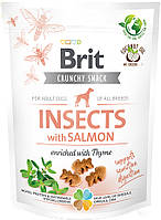 1491 Brit Care Dog Crunchy Cracker Insects Лосось с тимьяном, 200 гр