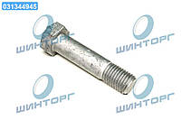 Болт Lemken 6-гранный М20х85-10,9 Zn (KK035072/KK032890/523804)(про-во Lemken) 3014370 UA60