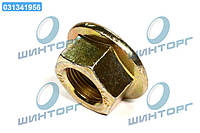 Гайка Case M20х1.5 шпильки ступицы (87773707) NHT8040 (CNH) 253212A1 UA60