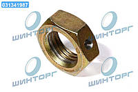 Гайка Case 1-1/2" Case TMII/RMX370 (CNH) 14032409 UA60