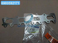 Прокладка колектора (вир-во SsangYong) 1611423080 UA60