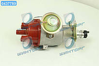 Розподильник запалювання ГАЗ-2410, 3302 бесконт.  1908.3706 UA60