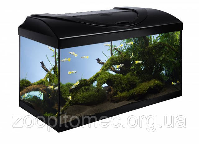 Акваріумний комплект STARTUP 60 Led Expert 13w, чорний, прямий, 60x30x30cm. 54л.