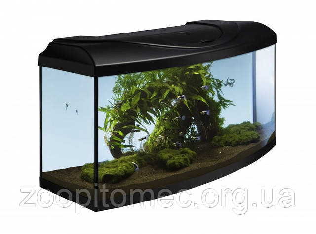 Акваріумний комплект STARTUP 80 Led Expert 17w, чорний, овальний, 80x35x40cm. 95л, фото 1