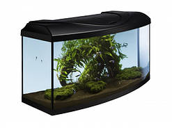 Акваріумний комплект STARTUP 80 Led Expert 17w, чорний, овальний, 80x35x40cm. 95л