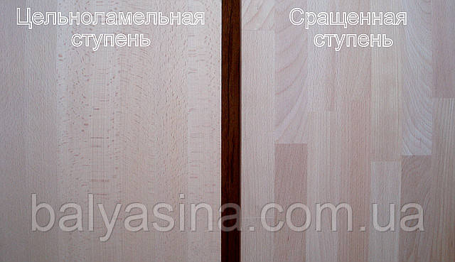 Цельноламельная і зрощена ступеня Цельноламельная і зрощена ступеня
