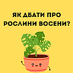 Як дбати про домашні рослини восени? 