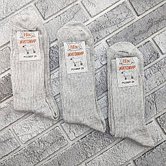 Шкарпетки чоловічі високі зимові напіввовняні р.29 світло сірі ЖИТОМИР НІК 30038461