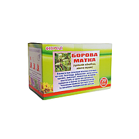 Фіточай трава борової матки (ортилія однобока) 1,5 гр 20 фільтр-пакетів