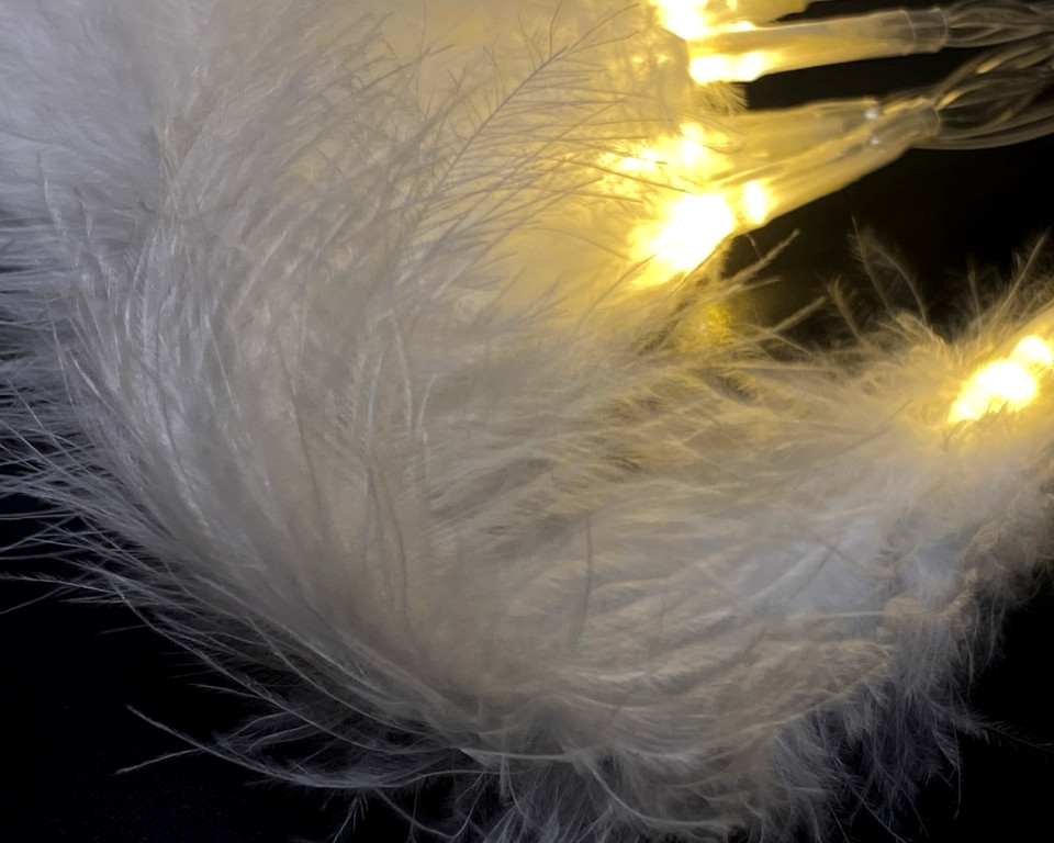 Гірлянда-стрінг Білі пір’їнки на батарейках 1.1 м 10 LED (теплий білий)