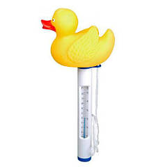 Термометри для басейнів