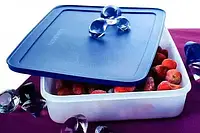 Контейнер Охлаждающий лоток 2.25 л Tupperware белый с синей крышкой Тапервер Tupperware